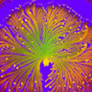 Meet your Posher, Kristina